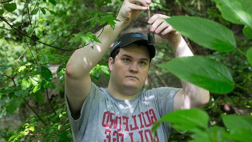 环境研究专业的学生正在测试格林斯博罗的水是从树上的一片叶子上流出来的.